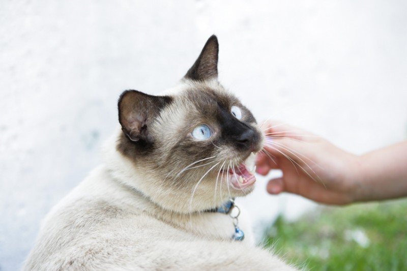 Oliver saying goodbye in the mornings